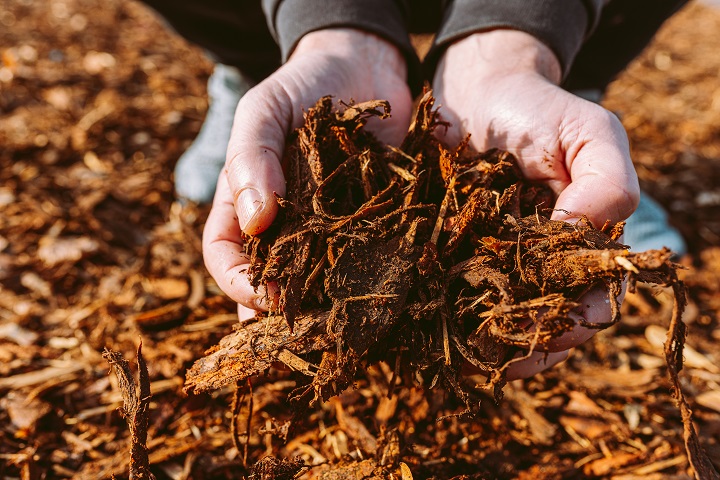 WOOD RECYCLING REGULATIONS HAVE CHANGED